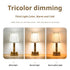 Gold Creative LED Rechargeable Table Lamp | 3 Adjustable Light Modes | Touch Control | USB Charging | Modern Atmosphere Light for Bar, Restaurant, Cafe, and Home Decor