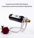 Gold Modern Floating Pearl Wine Bottle Holder  Elegant Home Decor, Unique Kitchen Accessory for Dining, Bar, and Living Room