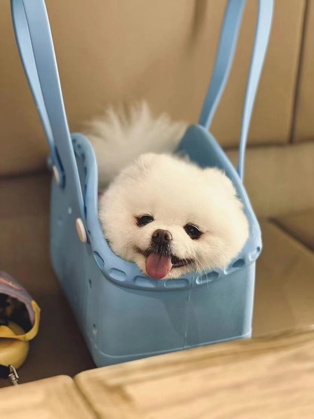 Green Portable EVA Pet Handbag - DIY Custom Decoration Carrier for Small Pets, Beach, and Outdoor Use Large Capacity
