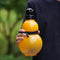 32oz Black Myth Wukong Inspired Gourd Water Plastic Yellow Bottle - Decorative Double-Layer Flask with Calligraphy and Accessories