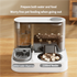 Automatic Pet Feeder and Water Bowl - 2-in-1 Grey Stainless Steel Bowl Cat Feeding Station