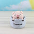 2 pcs Blue Cute Pig Head Bobble Head Car Ornament | Resin Pig Doll for Car Dashboard Decoration 6.5x7cm