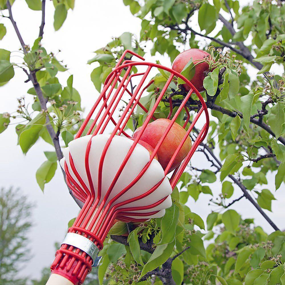 Fruit picking tool with telescopic pole - stainless steel fruit picking pole, high altitude tree fruit picking tool 4m