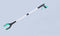 Green Foldable Grabber Tool with Silicone Non-Slip Claws - Ideal for Litter Picking, Outdoor Use, and Household Cleaning