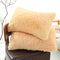 Light Yellow Faux Fur Pillowcase Set - Crystal Velvet Plush Throw Pillow Covers, Bedding Accent 50x70cm, Pair