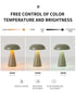 Rose Glod Metal Mushroom Table Lamp - Rechargeable Touch Control Ambient Light with Remote