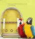 Yellow Stylish Transparent PVC Pet Carrier Backpack - Large Capacity, Multi-Use for Birds & CatsIncluding Wooden Stick