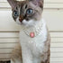 3-pcs Pink Diamond  Double Strand Pearl & Rhinestone Pet Necklace - Luxury Collar for Cats & Dogs Size L (30-36cm)