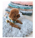 Light Grey Plush Pet Mat for Dogs and Cats - 70x100cm, Anti-Slip, Warm and Cozy for Autumn and Winter