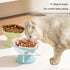 Green and Brown Ceramic Slow Feeder Pet Bowl for Cats and Small Dogs - Anti-Choke Elevated Design with 15-Degree Tilted Rim