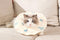 2 Pcs Size L Beige Comfortable Pet Recovery Collar | Waterproof Anti-Lick Collar for Cats & Dogs