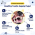 Durable Knot Rope and Ball Dog Toy - Interactive Chew and Tug Play for Pets