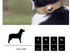 L Red Secure Nylon Dog Collar with Built-in Apple AirTag (not included) Holder Case - Pet Tracker Accessory