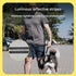 Orange Shock Absorbing Dog Leash with Reflective Stitching - 135cm for Small to Large Dogs