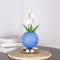 White Tulip Night Light - Floral Table Lamp for Bedroom Ambiance