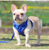 Blue Reflective Mesh Dog Harness and Leash Set - Adjustable No-Pull Vest - L