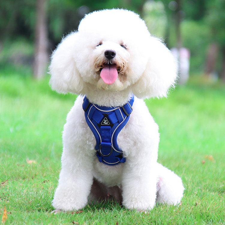 Blue Reflective Mesh Dog Harness and Leash Set - Adjustable No-Pull Vest - XL