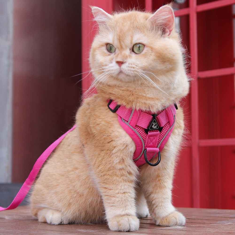 Rose Red Reflective Mesh Dog Harness and Leash Set - Adjustable No-Pull Vest - S