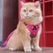 Rose Red Reflective Mesh Dog Harness and Leash Set - Adjustable No-Pull Vest - M