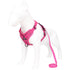 Rose Red Reflective Mesh Dog Harness and Leash Set - Adjustable No-Pull Vest - M