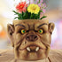 Brown Unique Goblin Head Planter Pot - Resin Monster Face for Succulents & Decor (Style 2)