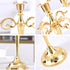 Gold Elegant Metal Candelabra 5 Arm Candle Holder -  Decorative Candelabra for Home, Weddings, Events