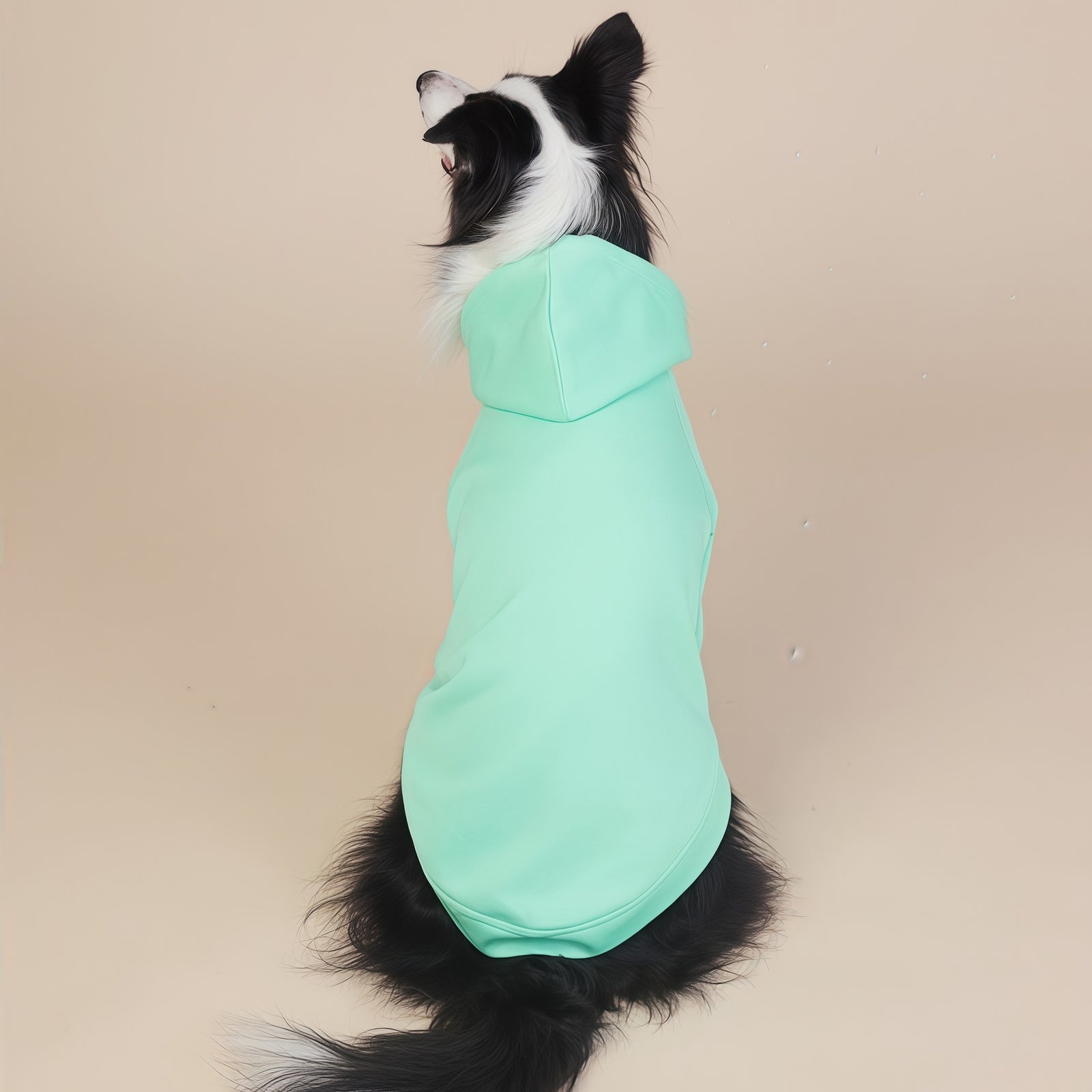 Green Classic Dog Sweatshirt with Hood & Drawstrings - For Large Dogs (Size : 2XL)