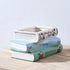 Literary Book Vase - Creative Ceramic Planter & Desk Organizer(Stack of books)