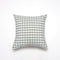 Green Small Plaid Pattern Set of 2 Decorative Cushion Covers - 45x45cm, Soft Polyester (Inserts Not Included)