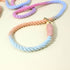 Colorful Vibrant Rainbow Ombre Rope Dog Leash - Durable Nylon P-Chain Slip Lead for Small & Medium Breeds