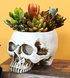 White Halloween Skull Resin Desktop Ornament and Pen Holder - Spooky Decor