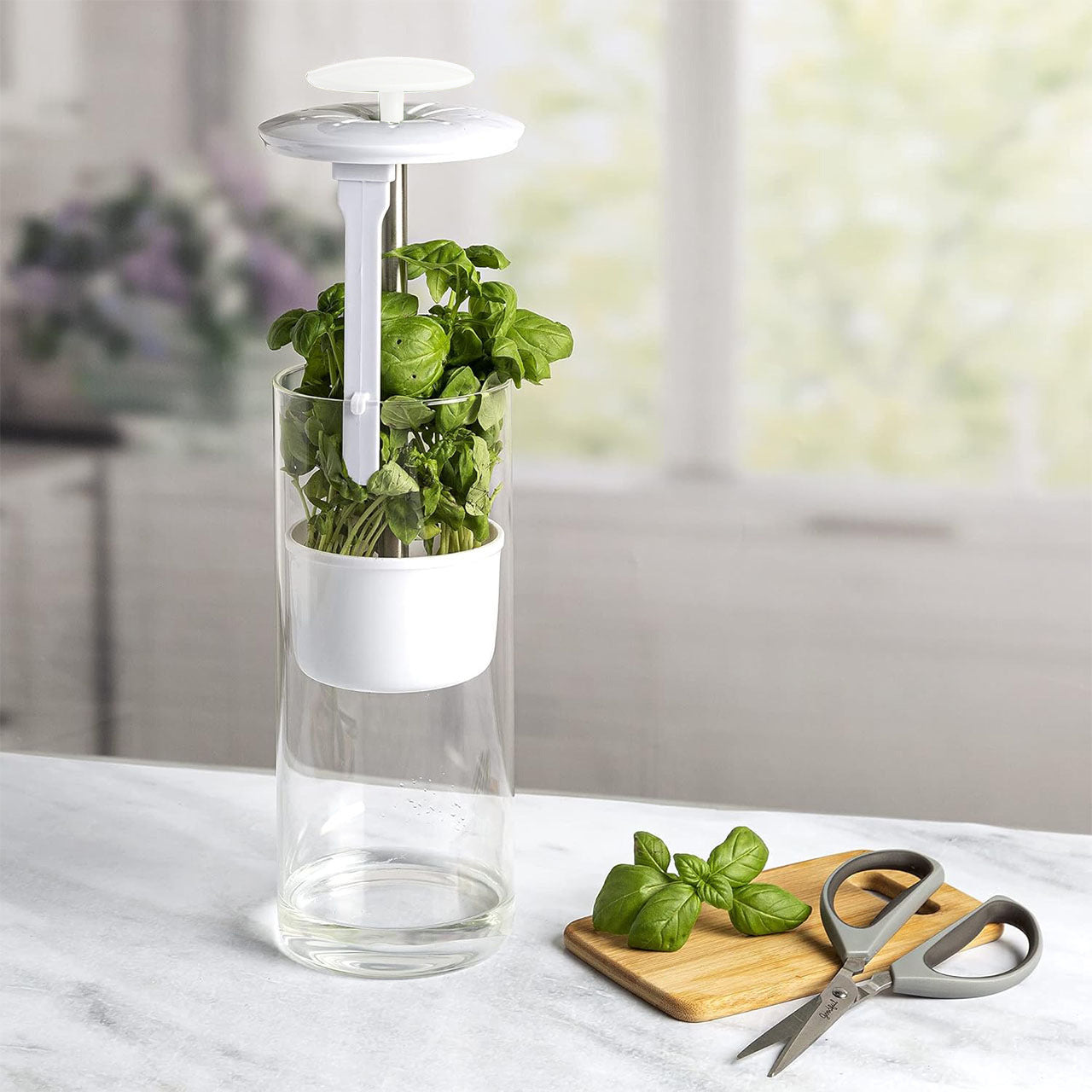 White Premium Herb Savor & Freshness Keeper - Extends Life of Herbs, Cilantro, Parsley & More