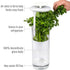 White Premium Herb Savor & Freshness Keeper - Extends Life of Herbs, Cilantro, Parsley & More