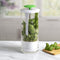 Green Premium Herb Savor & Freshness Keeper - Extends Life of Herbs, Cilantro, Parsley & More