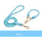 Blue Durable Nylon P-Collar Dog Training Set - Heavy Duty Leash & Martingale Collar (Size : XL)