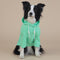 Green Classic Dog Sweatshirt with Hood & Drawstrings - For Large Dogs (Size : 7XL)