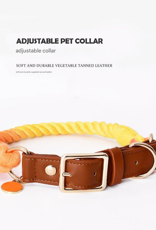 Premium Leather Pet Collar and Leash - Soft, Strong Braided Rope (Purple - Size L)