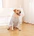 Autumn/Winter Dog Clothes - Grey Hoodie with Striped Hood & Baseball Bear (Size - 4XL)