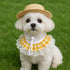 Khaki and Yellow 2 Sets Adorable Porch Goose & Small Pet Costume Set - 2 Summer Straw Hat & 2 Gingham Bib