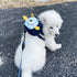 Dark Blue Adorable Monster Pet Backpack Harness - Small Dog & Cat Treat Pouch with Poop Bag Dispenser