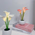 Pink Elegant Calla Lily LED Table Lamp - Lifelike Potted Flower Accent Light for Bedside Home Decor