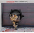 Black 4-Way Locking Cat Flap Door - Pet Entry Portal for Interior Doors, Walls & Cabinets