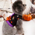 S Halloween Pumpkin Dog Harness Dress - Festive Costume Vest with Leash Ring for Small Dogs