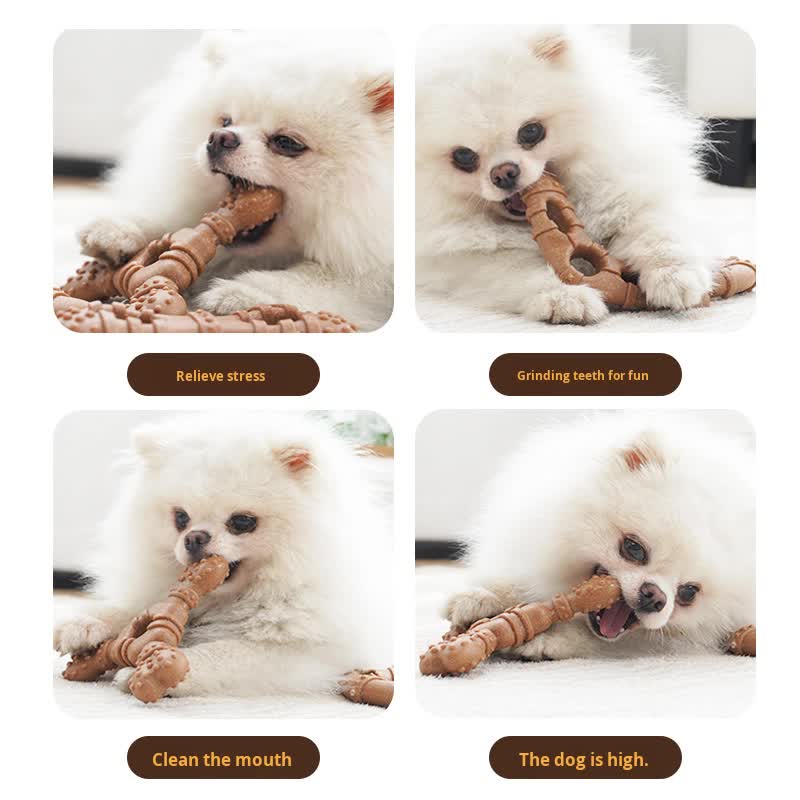 Wooden ring Durable Dog Chew Toy for Dental Health - Tough, Non-Toxic Teething Bone for Small & Medium Dogs