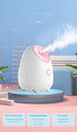 Nano Ionic Facial Steamer - Deep Hydration Hot Mist Face Steamer for Home Spa & Skincare(pink)