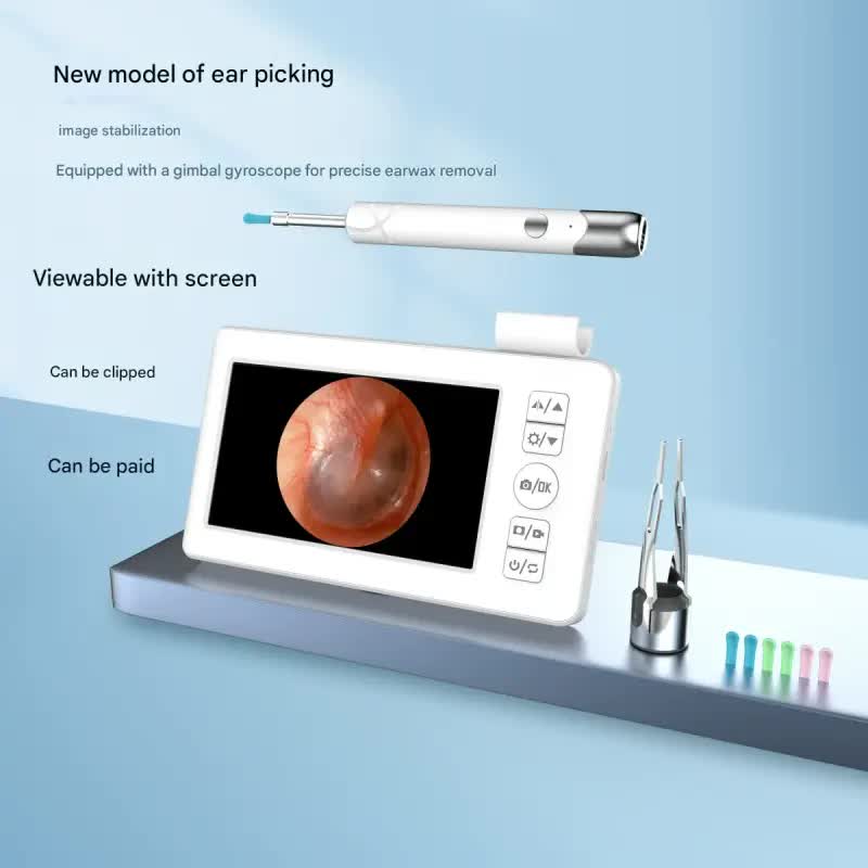 All-in-One Wireless Visual Ear Cleaner Kit with 4.3