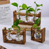Brown Desktop Plant Propagation Station - Rustic Wooden Stand with 3 Glass Bulb Vases for Hydroponics & Cuttings