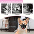 3 Pcs Size S Black Breathable Mesh Dog Muzzle - Soft & Comfortable Guard to Prevent Biting, Allows Panting and Drinking