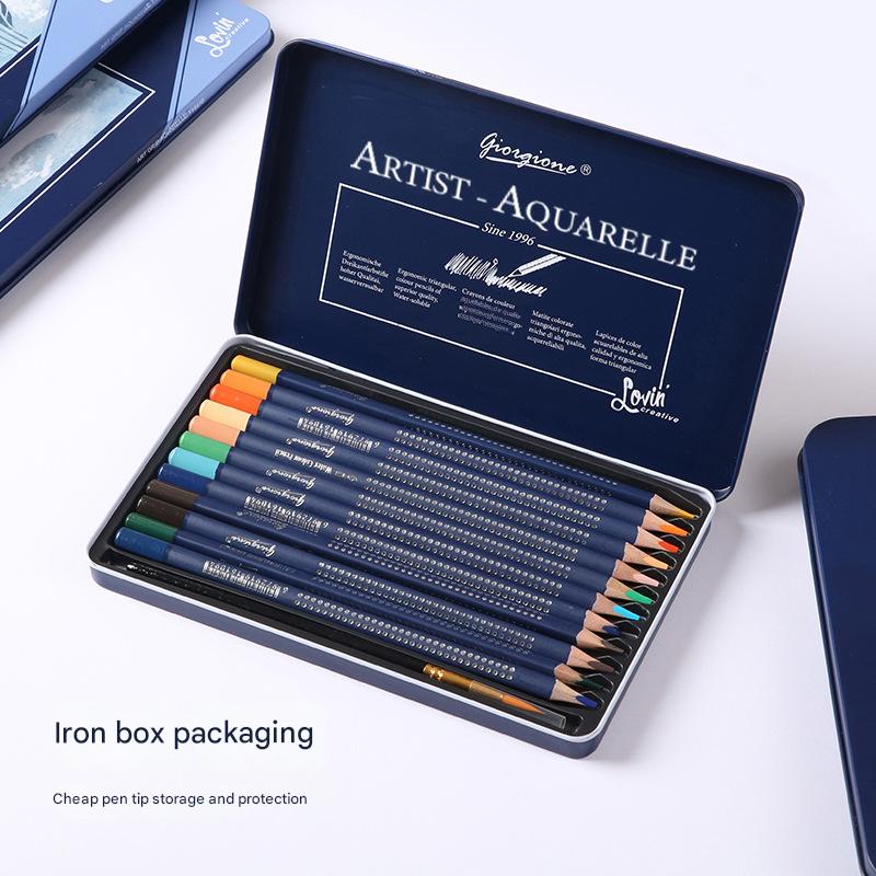 Giorgione Artist Watercolour Pencils 24-Color Set - Premium Water Soluble Colored Pencils for Art & Drawing with Tin Case