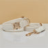 M Beige Luxury Velvet Pet Collar & Leash Set - Engravable Dog Collar with Gold Hardware